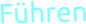 Führen