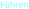 Führen